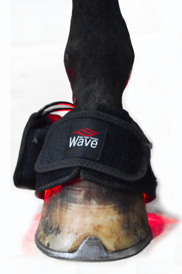 Wave RLT Bell Boot